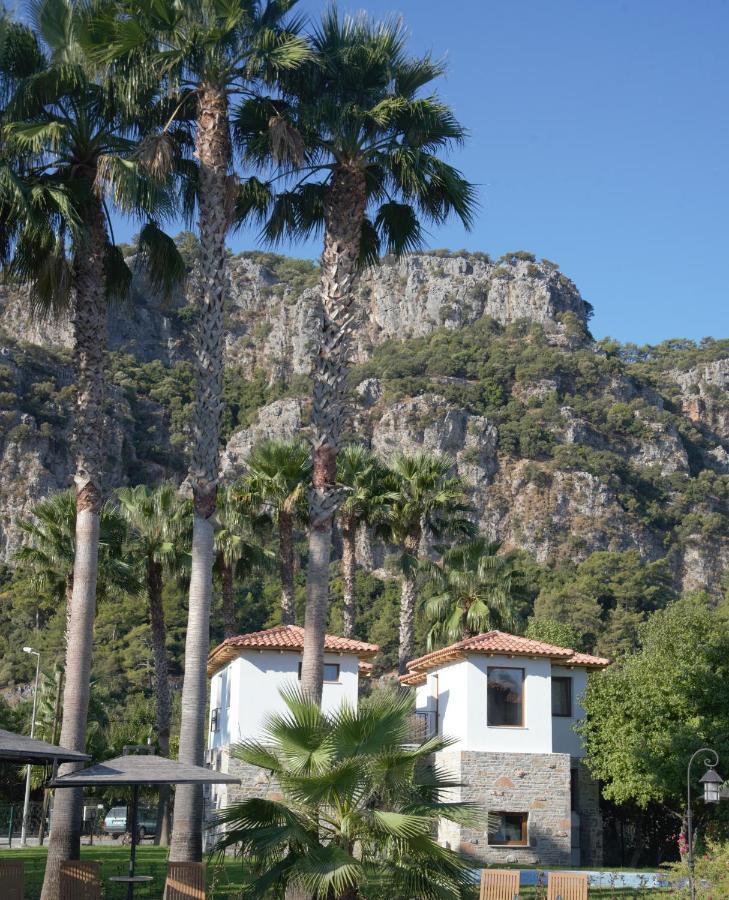 Merry - Dalyan Stonehouse With Palmtrees, 50m To River Villa *